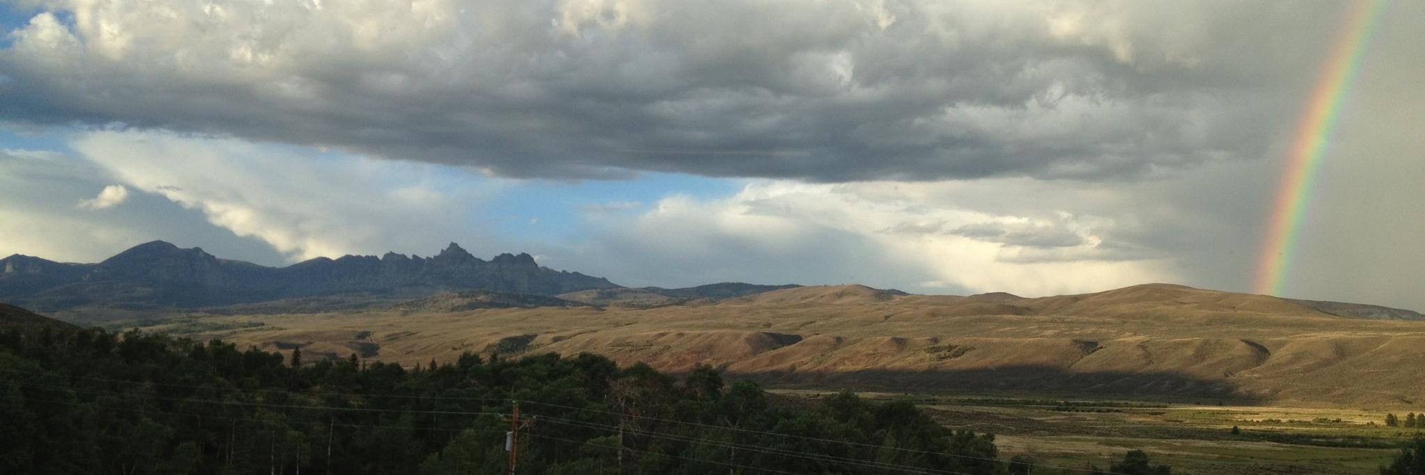 LoisWingerson's profile banner image