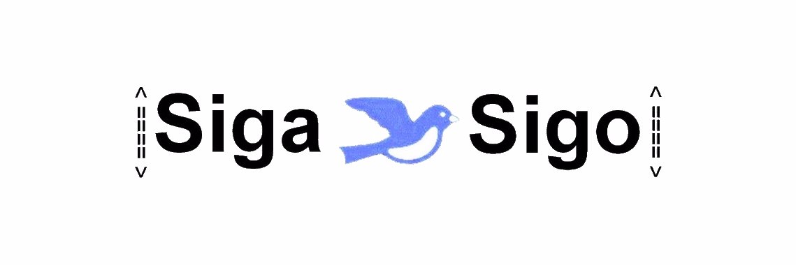 SigaSigo5000's profile banner image