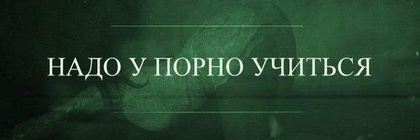 ulyparhiz's profile banner image