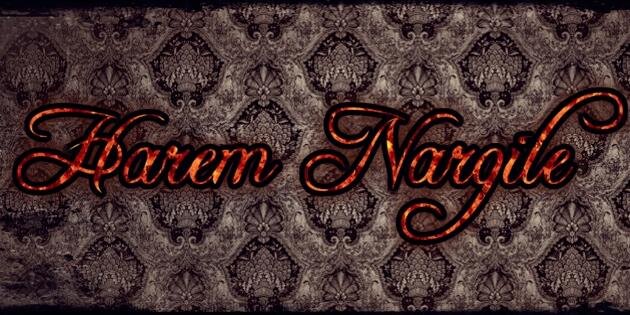 haremnargile's profile banner image