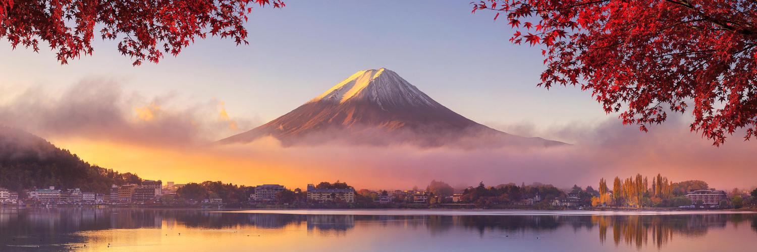 awlimages's profile banner image