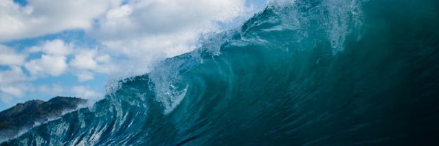 Machelle forshee banner