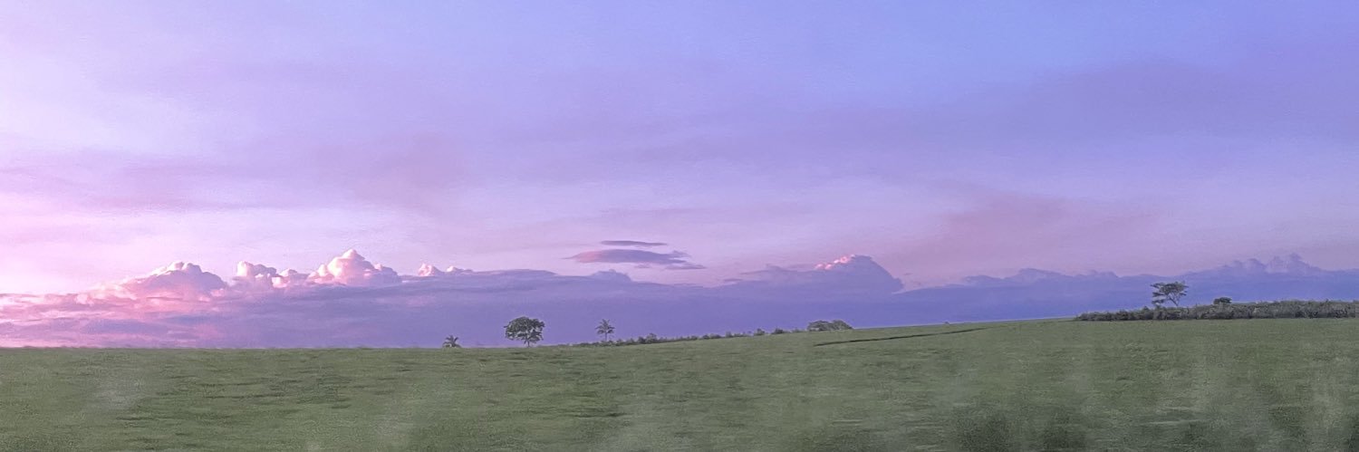 oppluluu's profile banner image