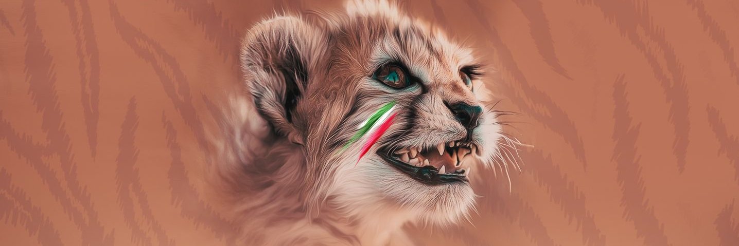 MemarpouriM's profile banner image
