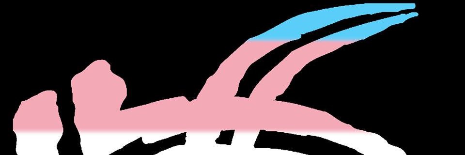 Greggwolf5Wolf's profile banner image