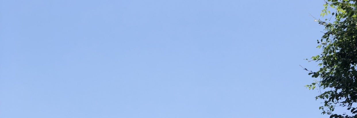 teachmomm's profile banner image