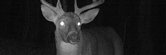 BLAKEFADES's profile banner image