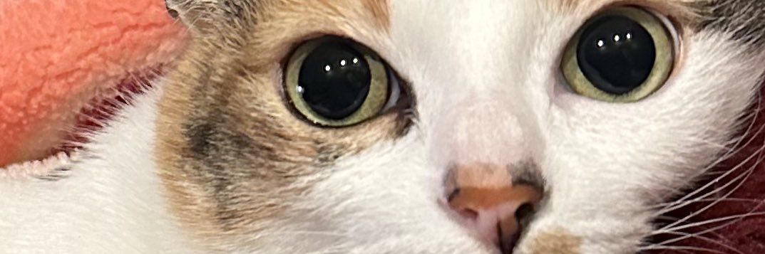gloriannebb's profile banner image