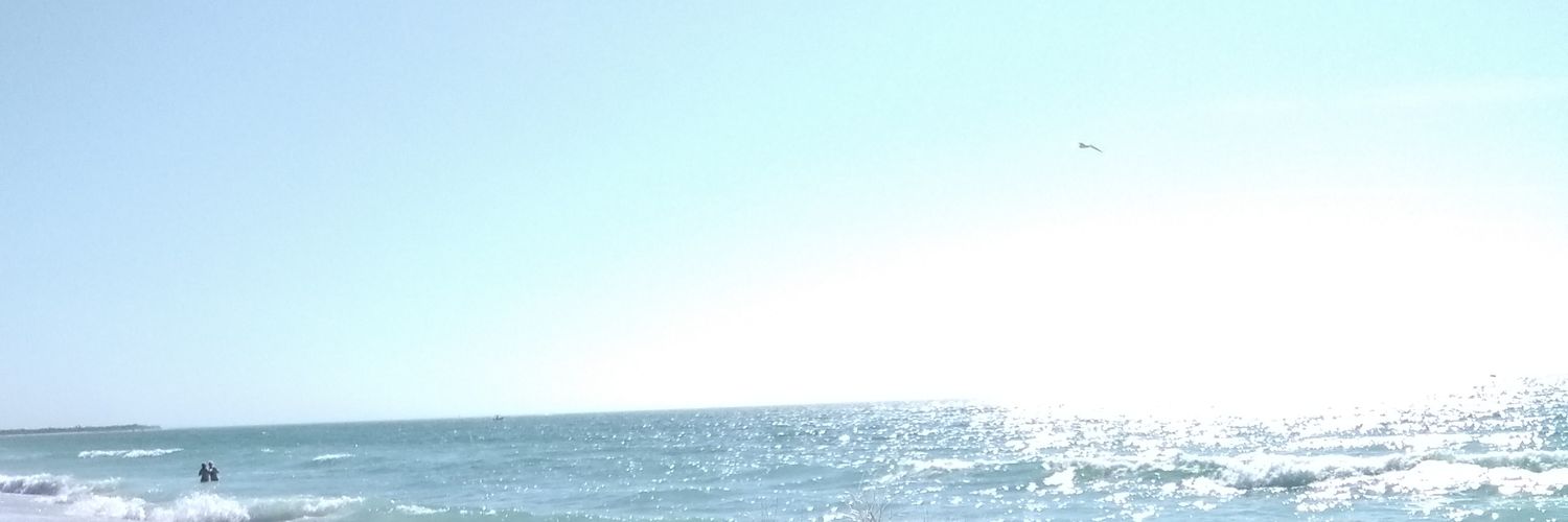 TheReal5Hole's profile banner image