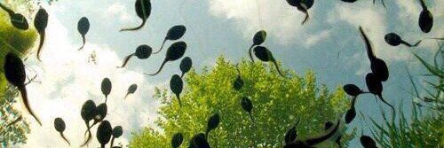 noich_XL's profile banner image
