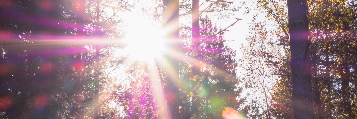 betsywrites's profile banner image