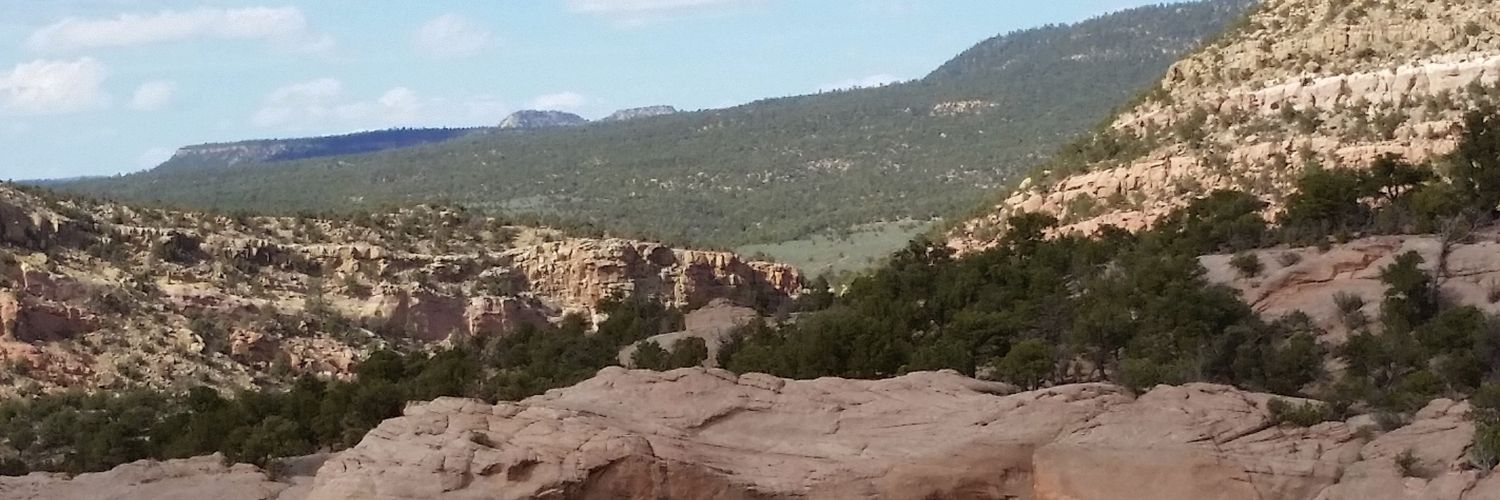 J_Sarvas's profile banner image