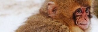 noncosmopolitan's profile banner image