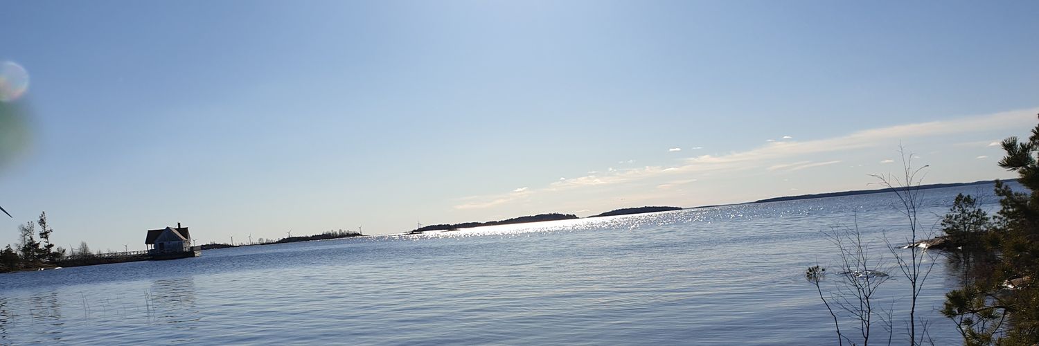 Alvalouiseee's profile banner image