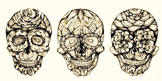 aallisonnnx's profile banner image