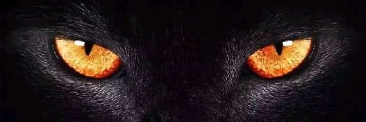 UwakDan's profile banner image