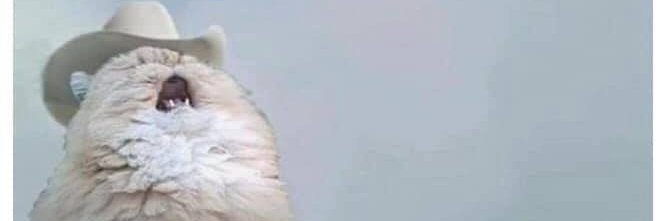percyx88's profile banner image