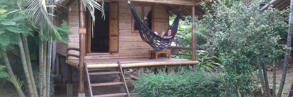 matthieu van leer banner