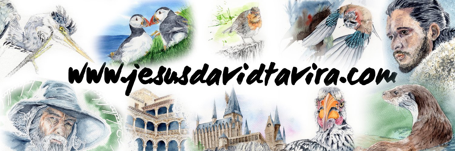 Jesús David Tavira banner