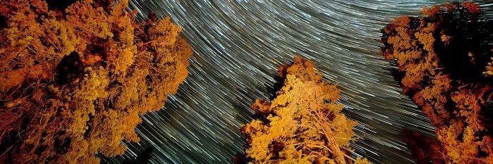 Jess banner