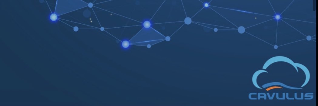 cavulus's profile banner image