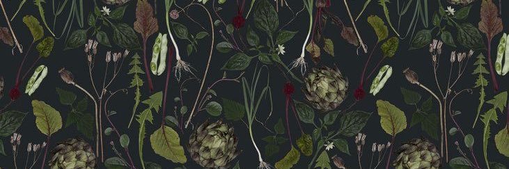 bangoboingoboni's profile banner image