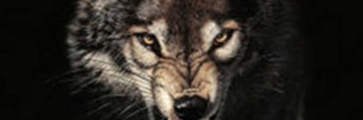 barryvanlint97's profile banner image