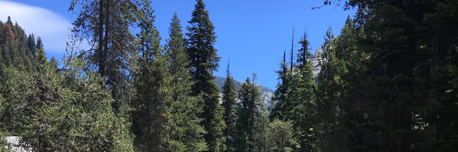erodri_'s profile banner image