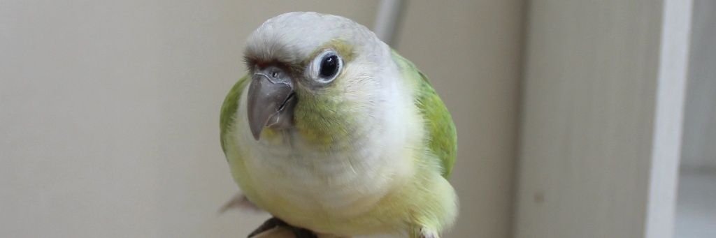 aaaaaaaaachin's profile banner image
