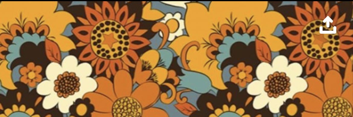 lia_thayo's profile banner image