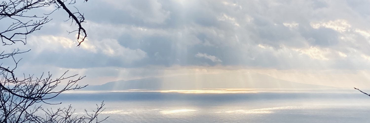 dawn🌼 banner