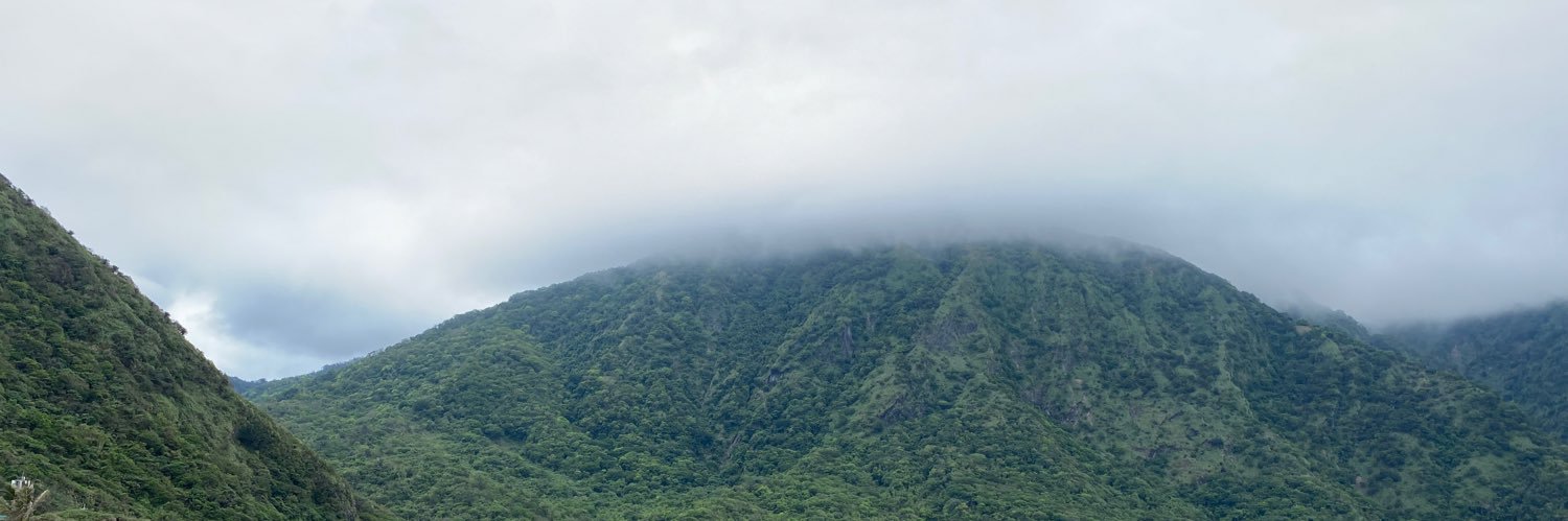 warrenbevan's profile banner image