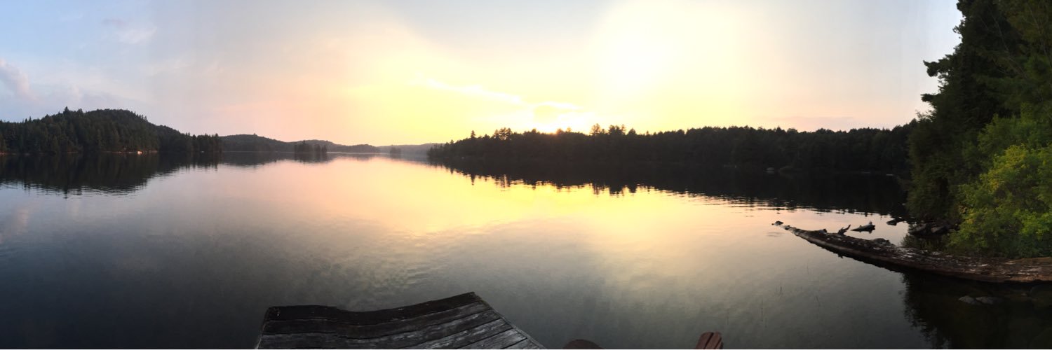 ericafitzzz's profile banner image