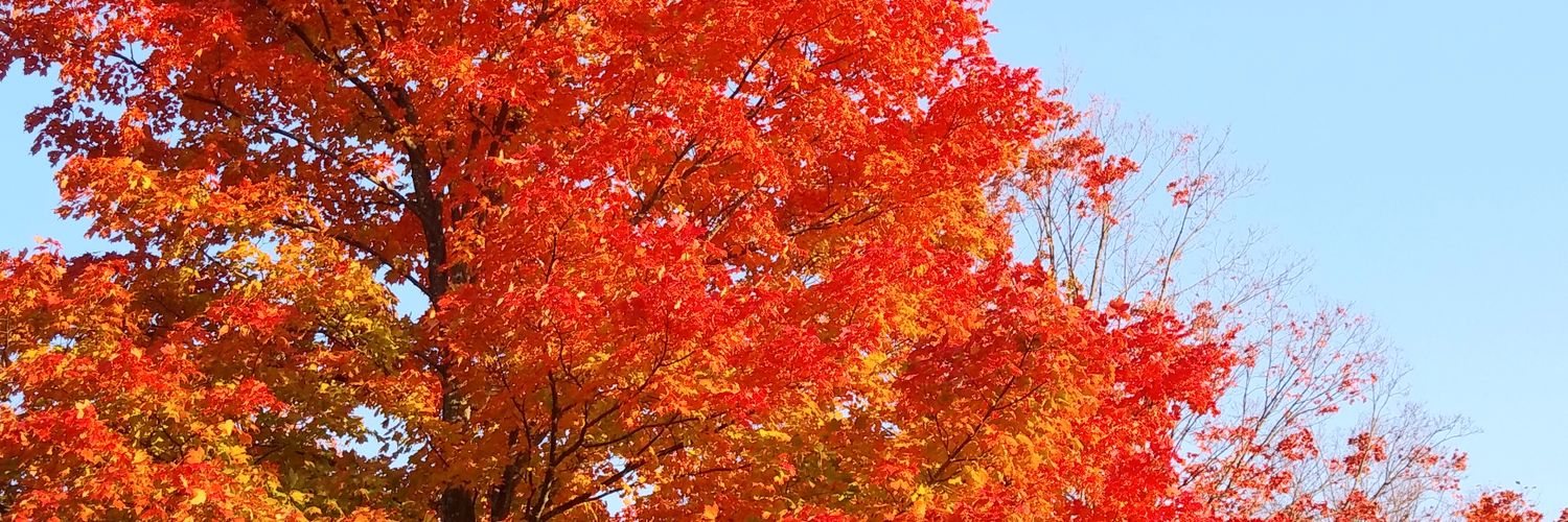 DenJenKen's profile banner image