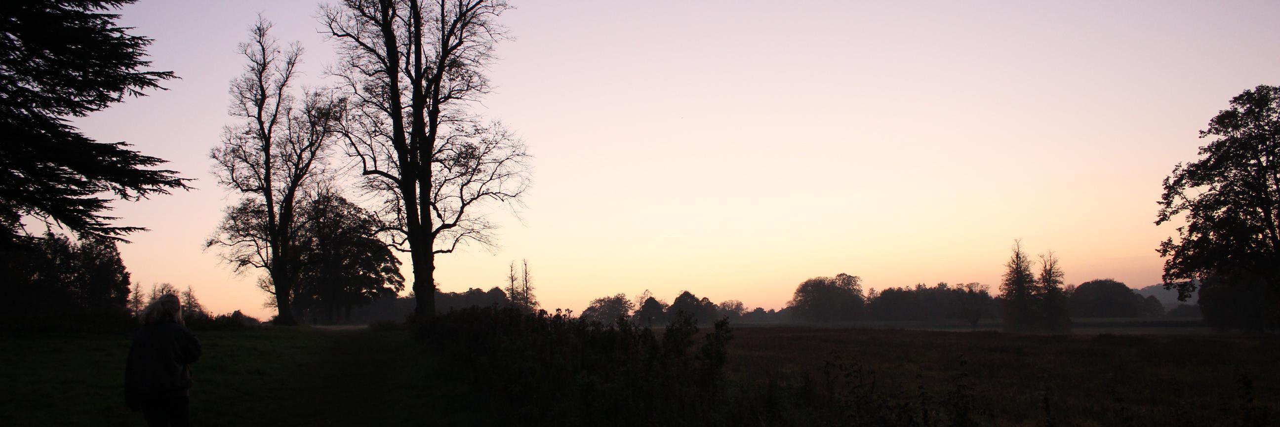 Luke Petty banner