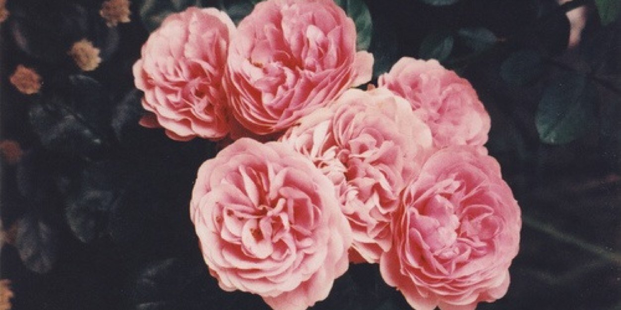claarns's profile banner image