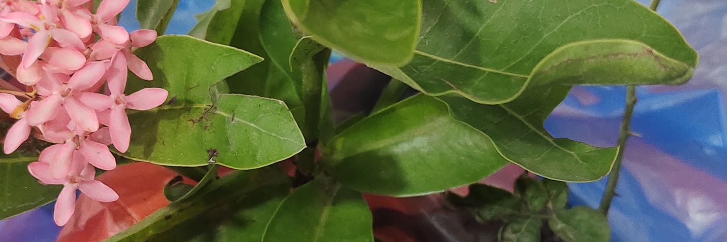 russs_15's profile banner image