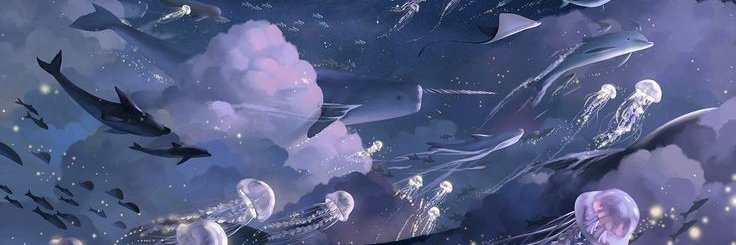 raesorgezz's profile banner image