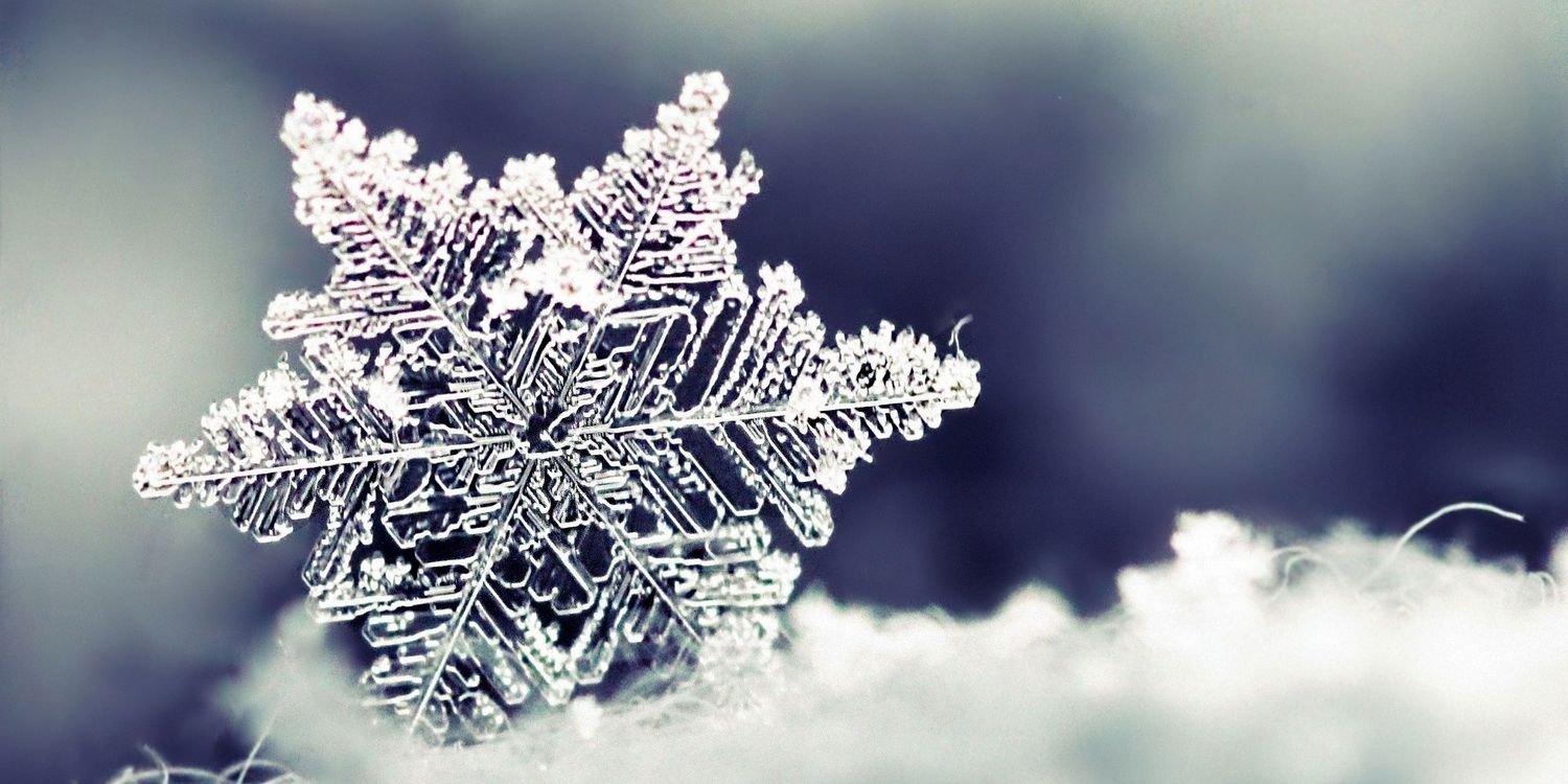 PrincessBubblek's profile banner image