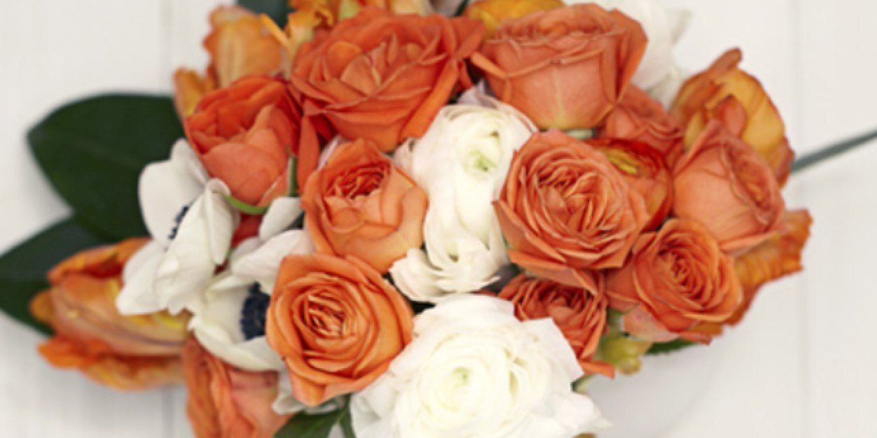 MarcyR28's profile banner image