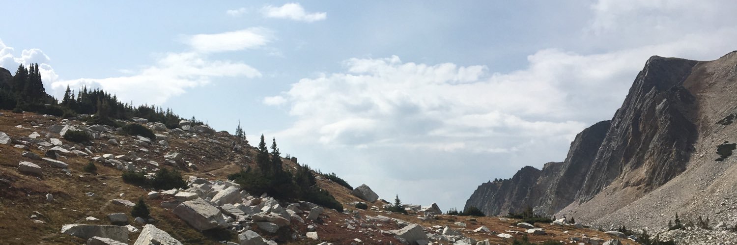 DAlvaBarry's profile banner image