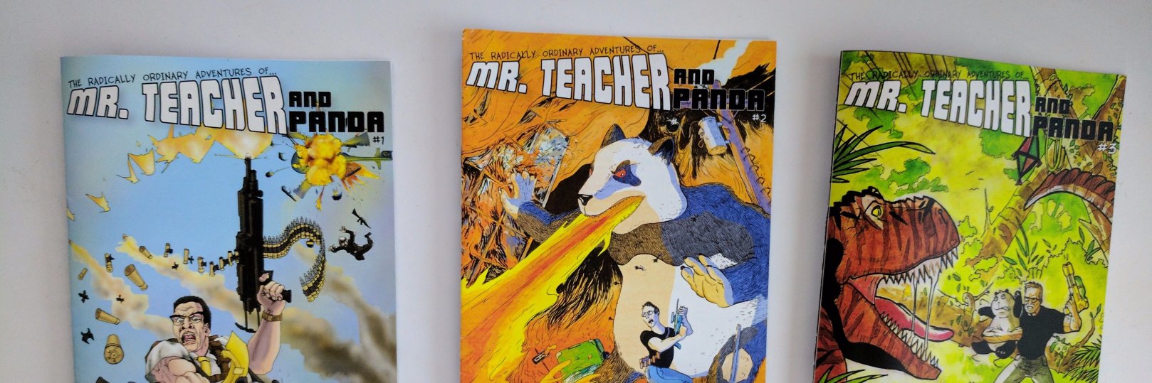 MrTeacherNPanda's profile banner image