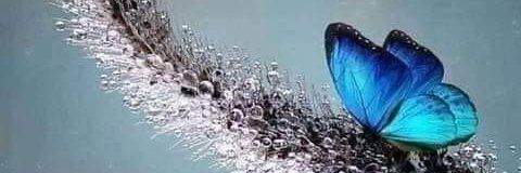 Follow__mmee's profile banner image