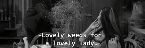 iris ไอริส​ Ψ OFDO era banner