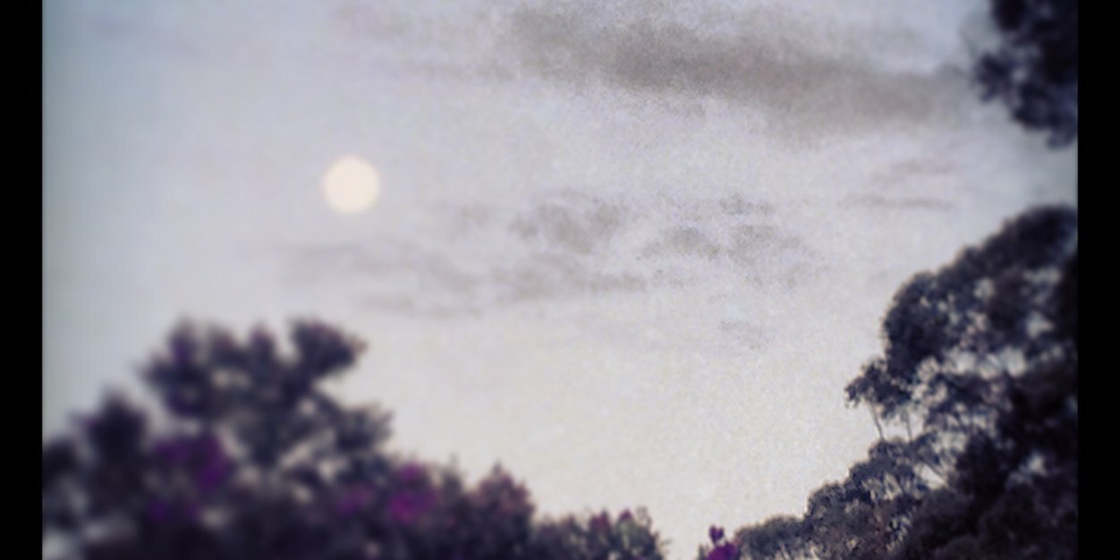 Traceyy93's profile banner image