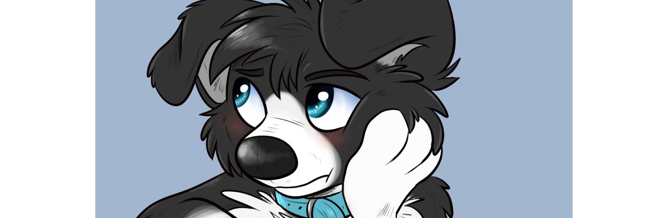 BazzCollie's profile banner image
