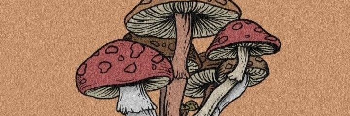 AngieGavalda's profile banner image