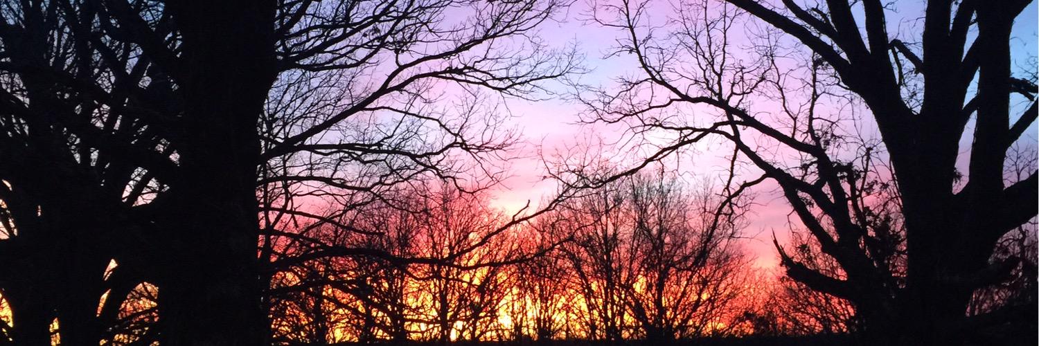 JenniferDavisj's profile banner image
