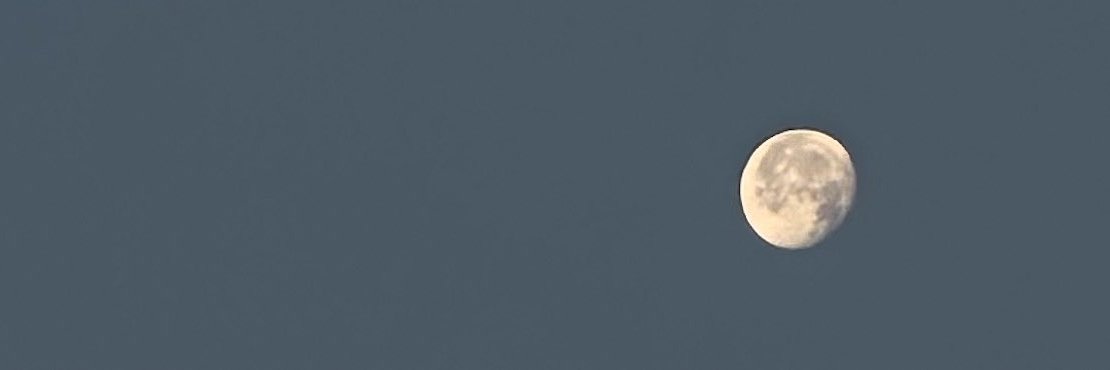 Mati_Mella1's profile banner image