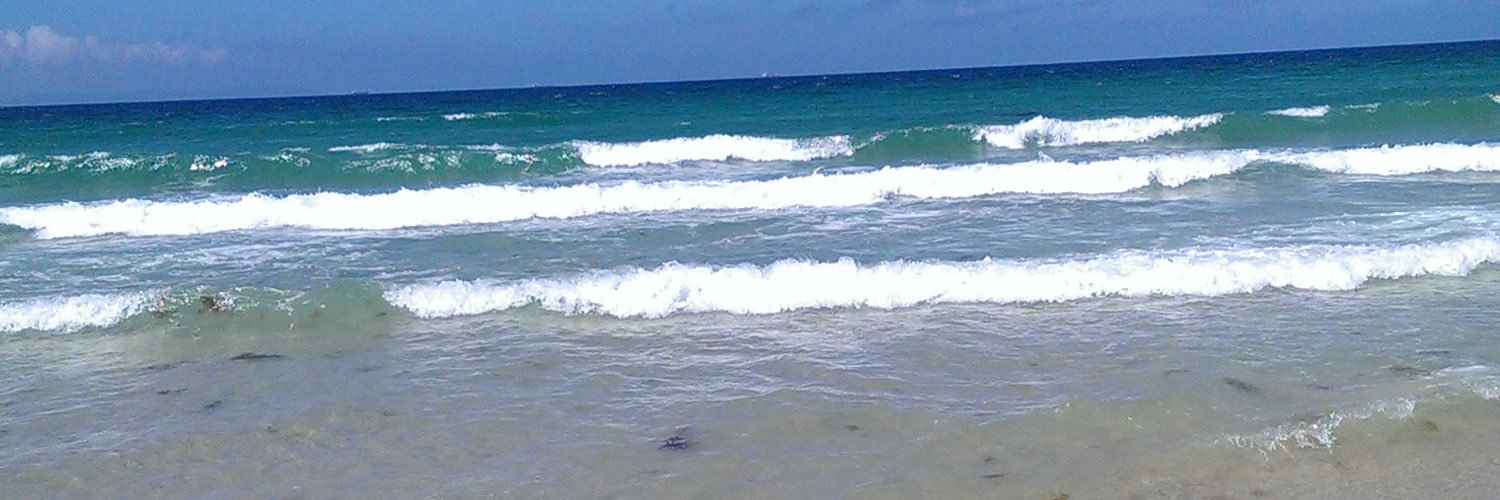 adeloska's profile banner image